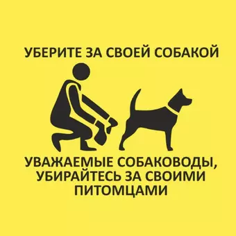 Куда жаловаться на владельцев собак, которые не убирают за своими питомцами?